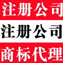 新公司多少钱 洪山工商 丰骏益工商